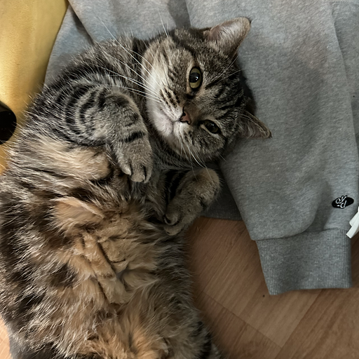 올리브영 테크 블로그 작성 iframe으로 웹앱 통합했더니 토큰 요청이 폭발했다